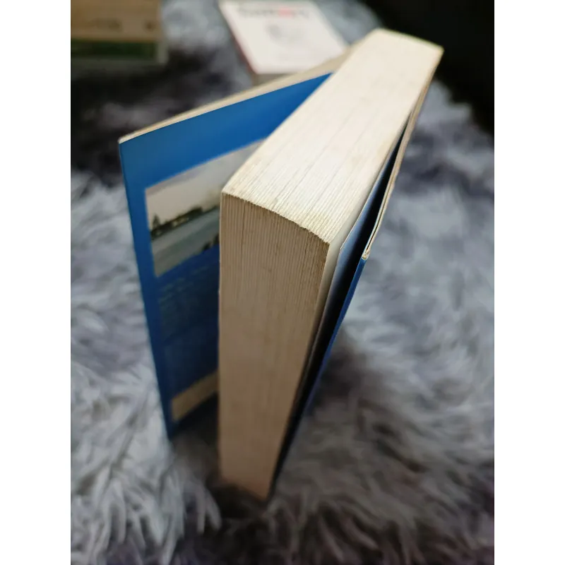 Biển và chim bói cá (Bùi Ngọc Tấn) 934469