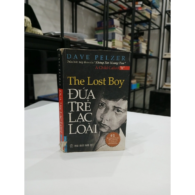 Đứa Trẻ Lạc Loài - Dave Pelzer 544514
