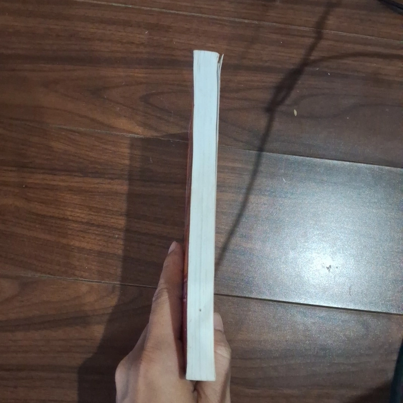 Các triều đại việt nam 510690