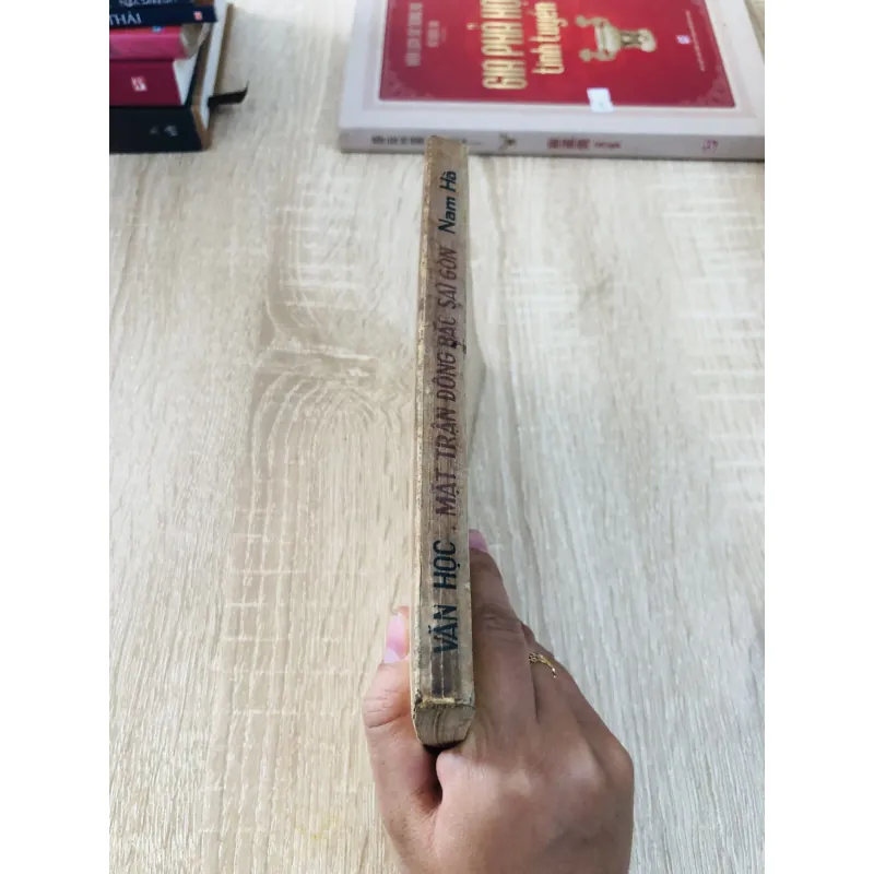 Mặt trận Đông Bắc Sài Gòn (ký sự) – Nam Hà 929192