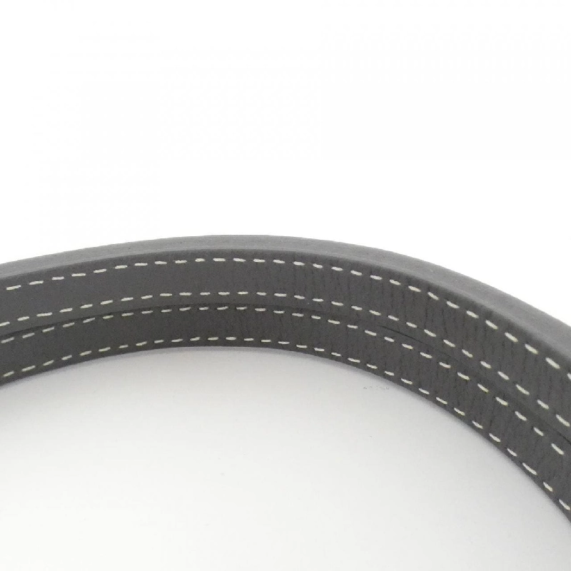 Túi Goyard Saint Louis PM AMA Louis PM - Hàng hiệu Chính hãng 765310