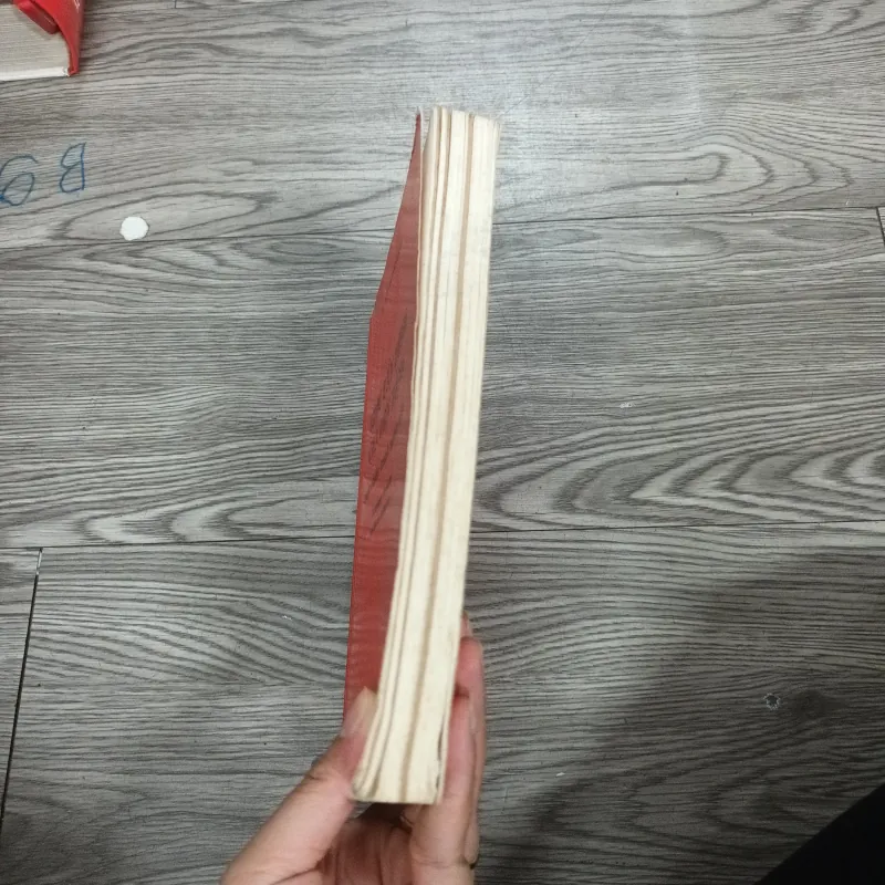 Cuộc Tấn Công Của Con Rồng cuộc chiến tranh nghìn năm- Humphrey Hawksley & Simon Holberton 1024039