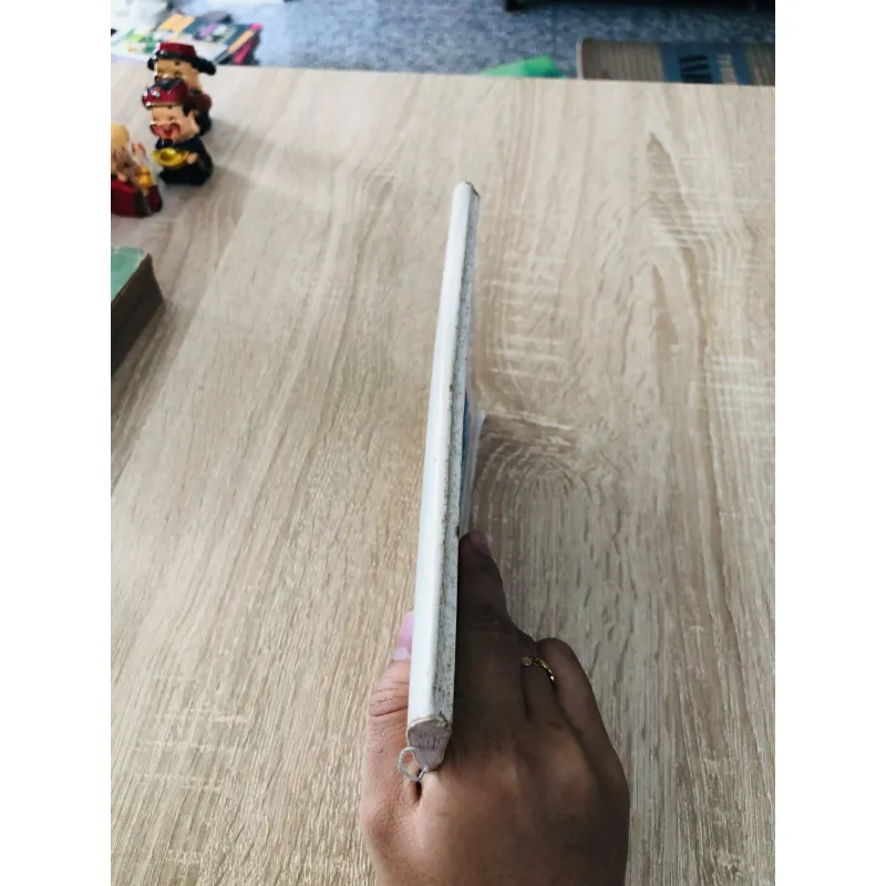 TÌNH ĐỜI Ý ĐẠO 957001