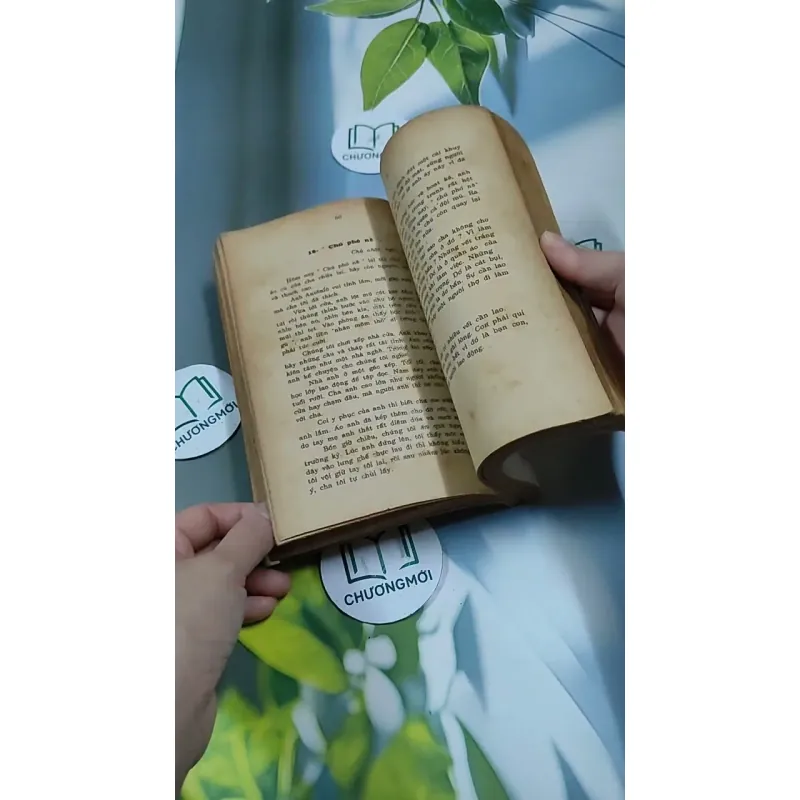 Tâm Hồn Cao Thượng (1989) 713894