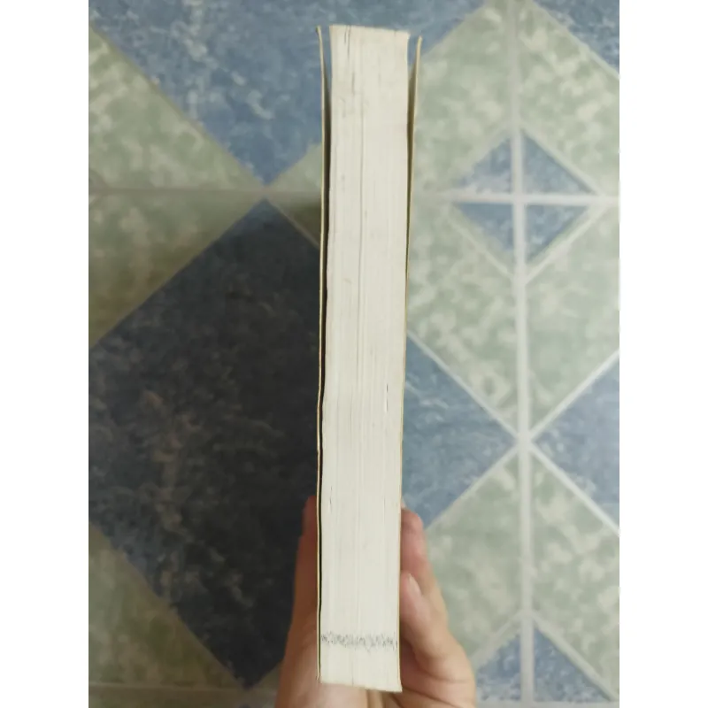 Tứ đại mỹ nhân Trung Quốc Vương Chiêu Quân - Kim Tư Đốn 689434