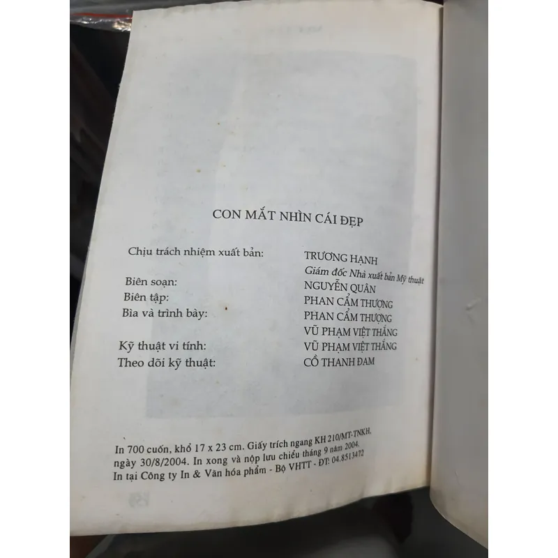 Con mắt nhìn cái đẹp - Nguyễn Quân  707114
