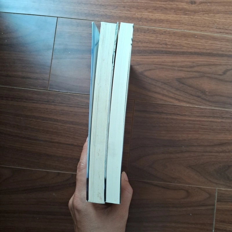 Con gái người canh giữ giấc mơ 506016