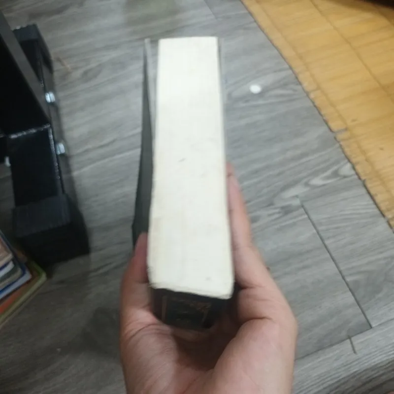 Cuốn Sổ Vàng - Doris Lessing 1025474