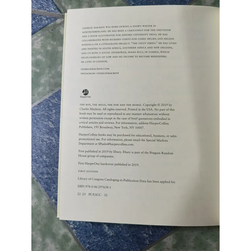 The boy, the mole, the fox Horse - Charlie mackesy 708899