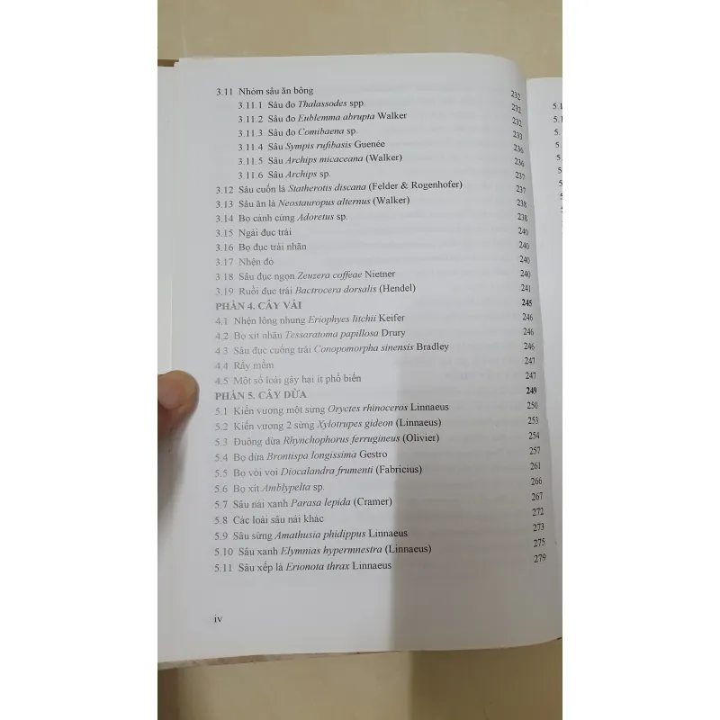 CÔN TRÙNG NHỆN GÂY HẠI CÂY ĂN TRÁI....  799628