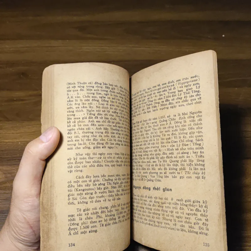 Các Con Vật Trên Rừng Dưới Biển - Đoàn Giỏi 1022201