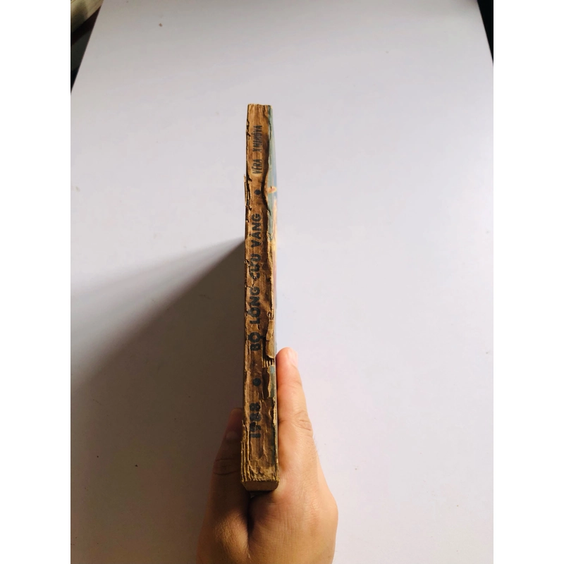 BỘ LÔNG CỪU VÀNG  529551