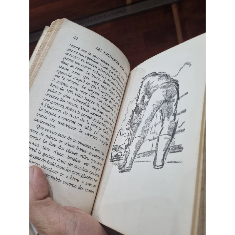 LES RICHESSES DES MERS - Helen W. Vogel & Mary L. Caruso (1966) 145869