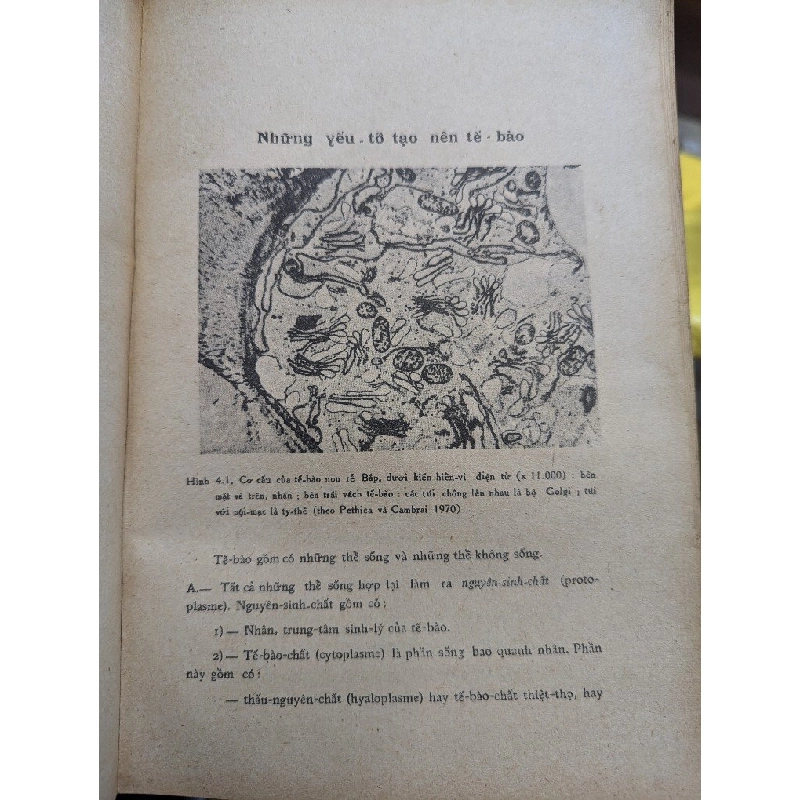 SINH HỌC THỰC VẬT - PHẠM HOÀNG HỘ 191587