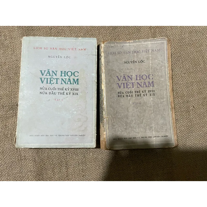 Văn học Việt Nam nửa cuối thế kỷ 18- nửa cuối thế kỷ 19| Nguyễn Lộc| 1976, 1978 570936