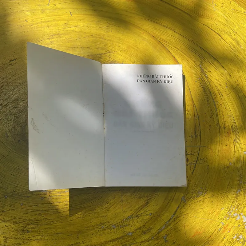 NHỮNG BÀI THUỐC DÂN GIAN KỲ DIỆU- NGUYỄN KIỀU LIÊN- BS. NGUYỄN CÔNG ĐỨC 695274