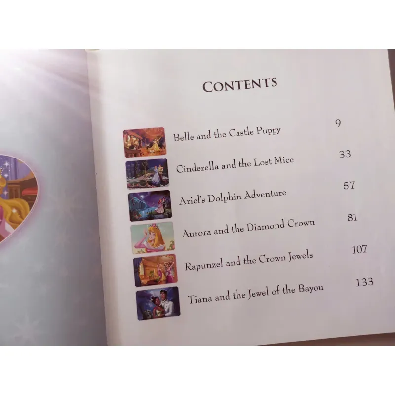 Disney Princess Storybook Collection 961402