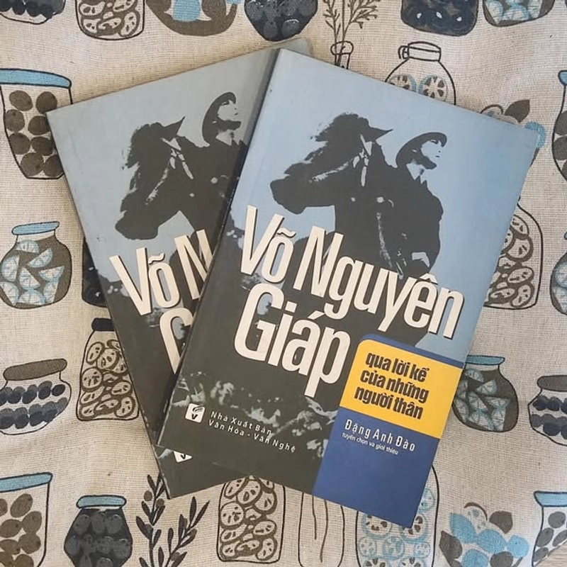 VÕ NGUYÊN GIÁP QUA LỜI KỂ CỦA NHỮNG NGƯỜI THÂN 186291