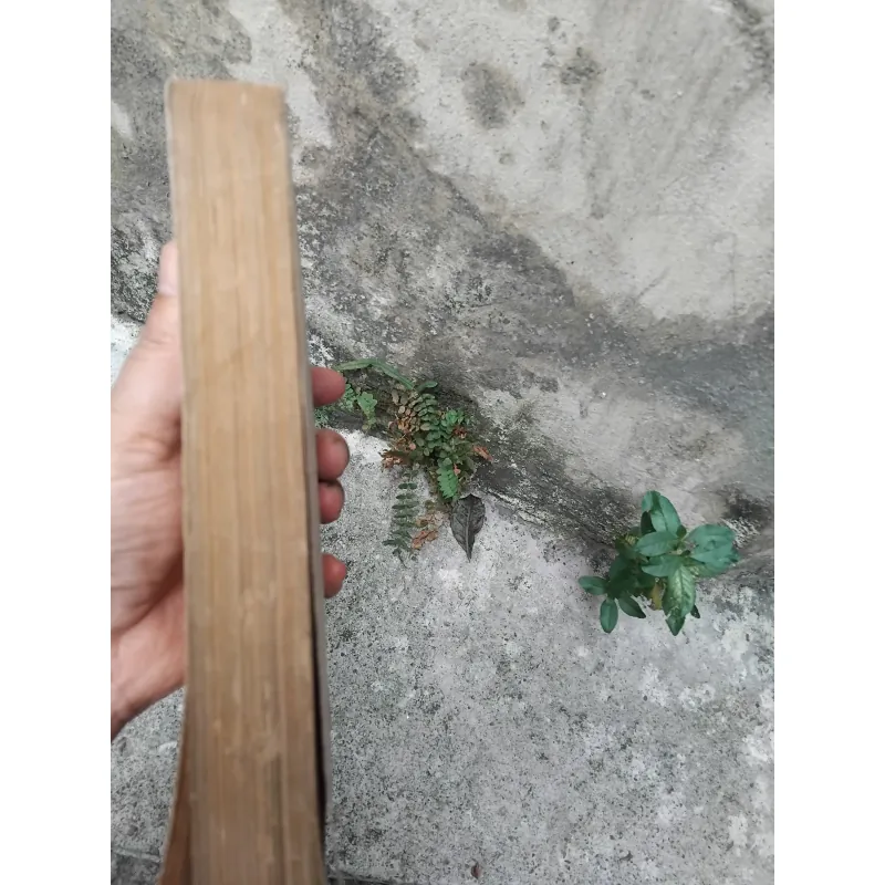 Thơ văn Nguyễn Bỉnh Khiêm  1022819