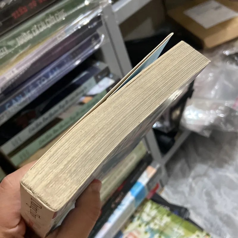 Venise và những cuộc tình gondola - Dương Thuỵ 970010