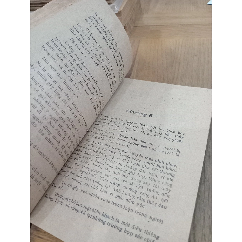 Cô gái da đỏ - Robert Thierry 1017731