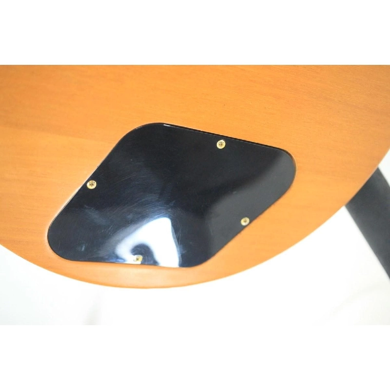 ＧＩＢＳＯＮ ＬＥＳ ＰＡＵＬ ＳＭＡＲＴＷＯＯＤ ＥＸＯＴＩＣ - Hàng hiệu Authentic 878754