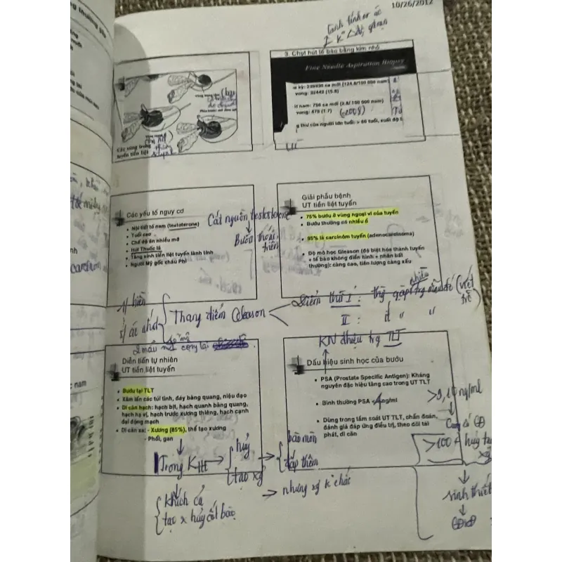 SLIDE UNG BƯỚU - khổ lớn- sách có ghi chú của chủ cũ  1021358