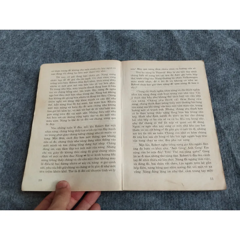 TÌM TRONG SƯƠNG CHIỀU - PATRICIA HIGHSMITH 574634