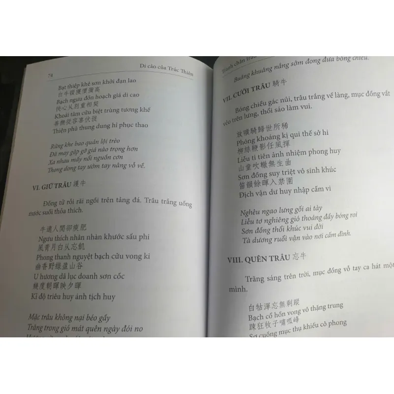 Tranh Chăn Trâu 675265