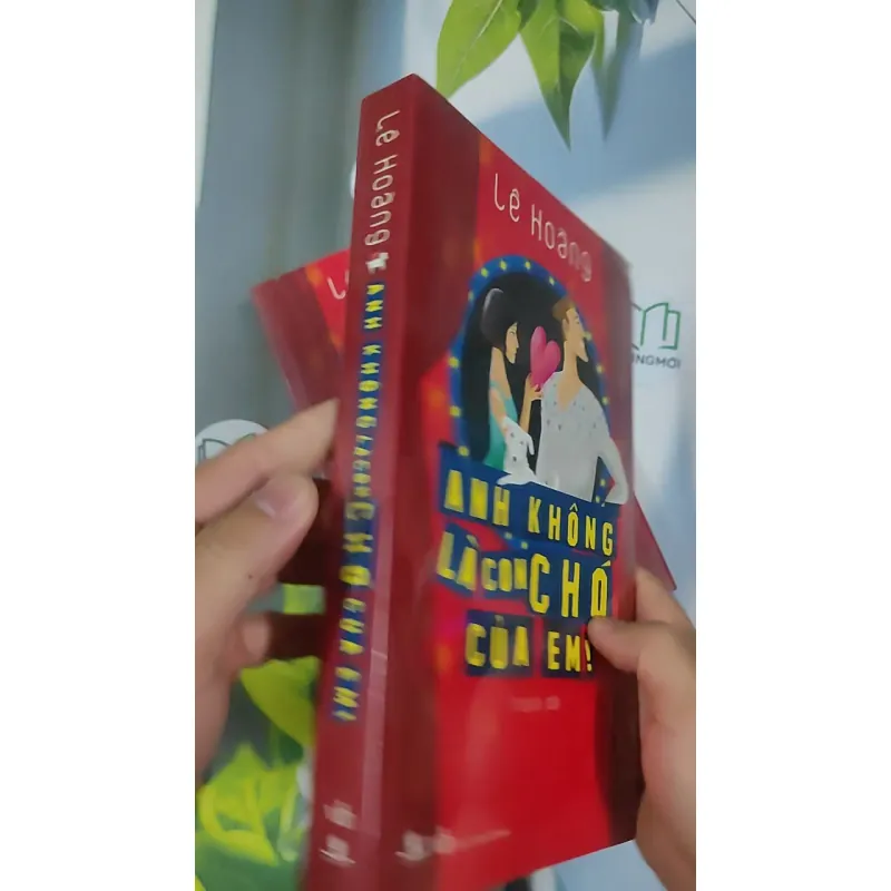 [XƯA] Vòng Tròn Bội Bạc (1999) - Chu Lai 798521