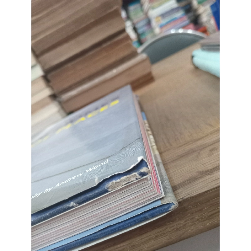 Cool homes in hot places - Suzanne Trocmé 969625