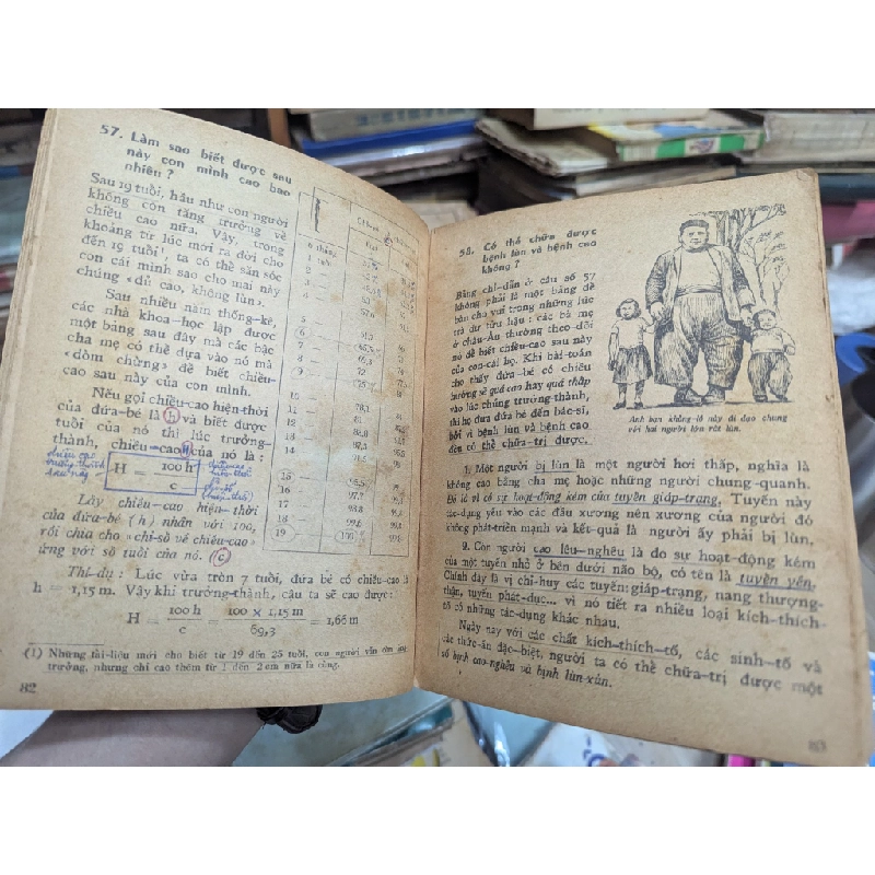 Biển cái nôi của sự sống - Lý Thái Thuận 127203