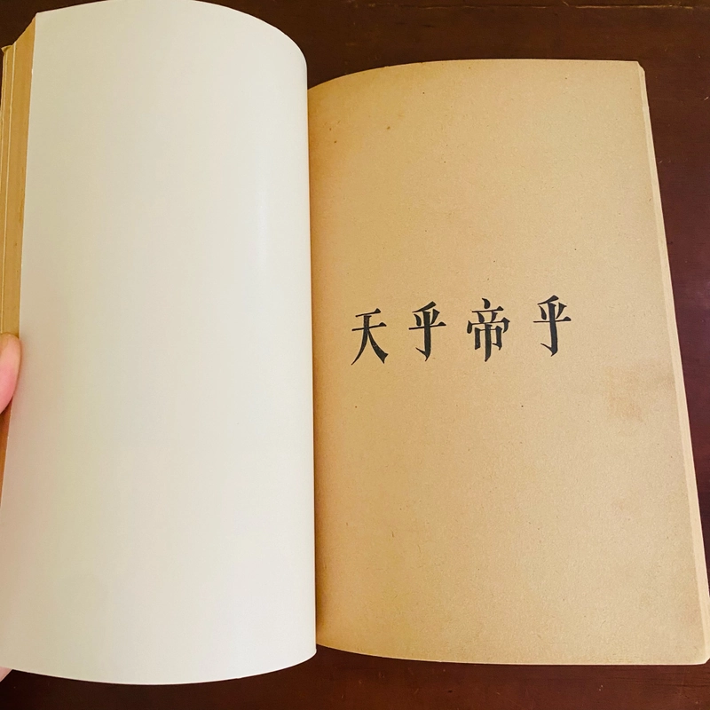 Thiên Hồ! Đế Hồ! - Phan Bội Châu 529126