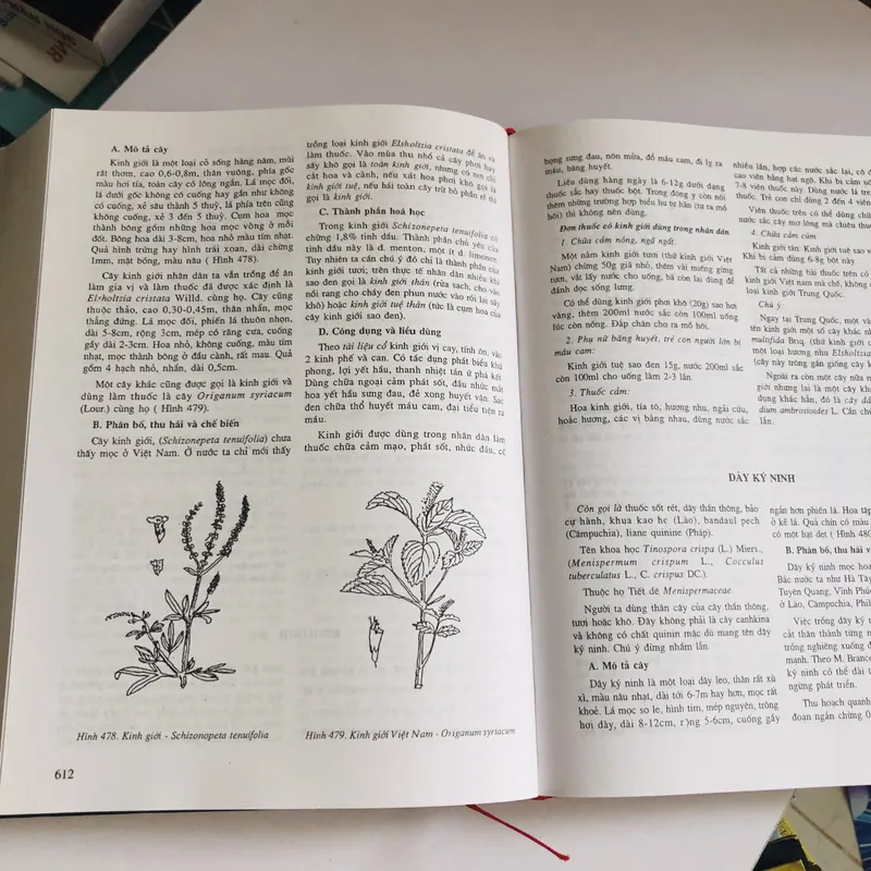 NHỮNG CÂY THUỐC VÀ VỊ THUỐC VIỆT NAM  455636