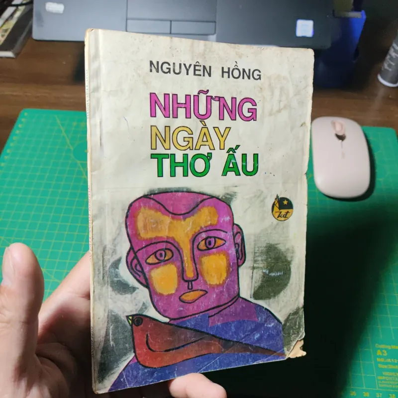 Những Ngày Thơ Ấu - Nguyên Hồng 1028988