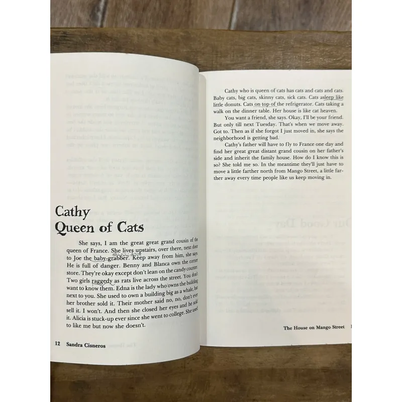 The House of Mango Street - Sandra Cisneros (Vintage Contemporaries Edition) 731280