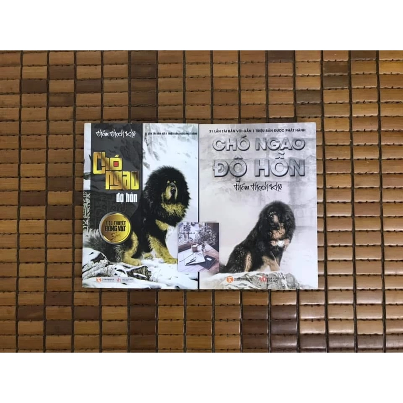 Chó ngao độ hồn (trái) 471844