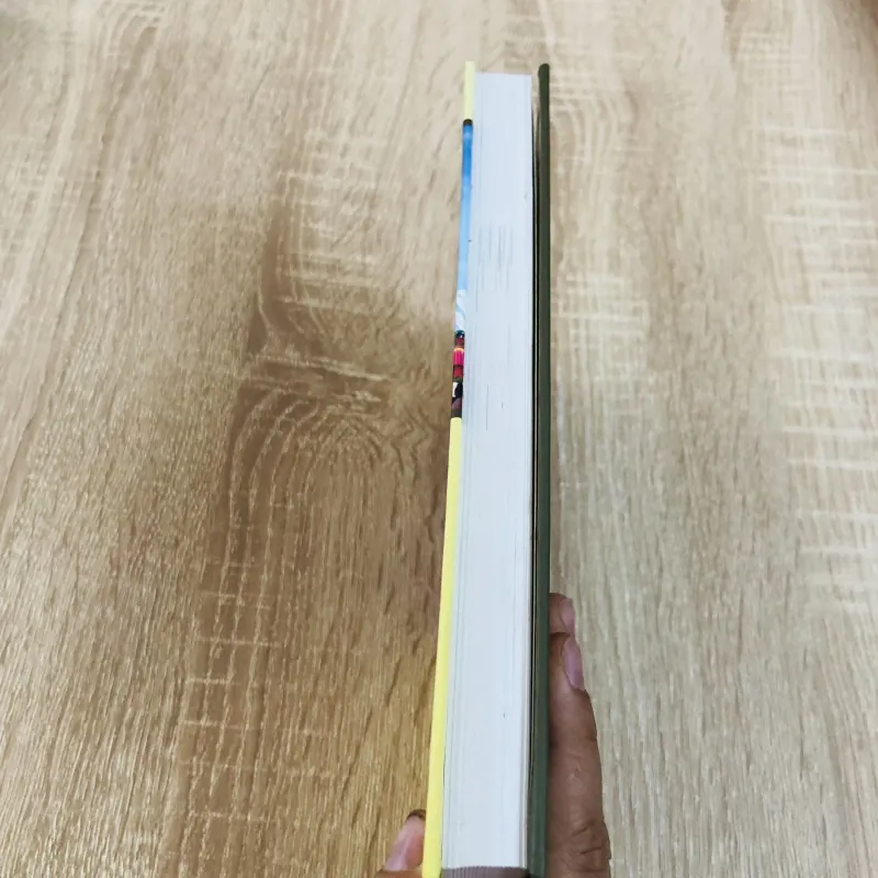 DÂN Y MIỀN NAM 974741