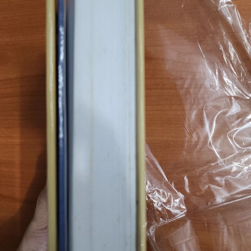 Sách Cành mai sân trước của BS Đỗ Hồng Ngọc mới 90% 531593
