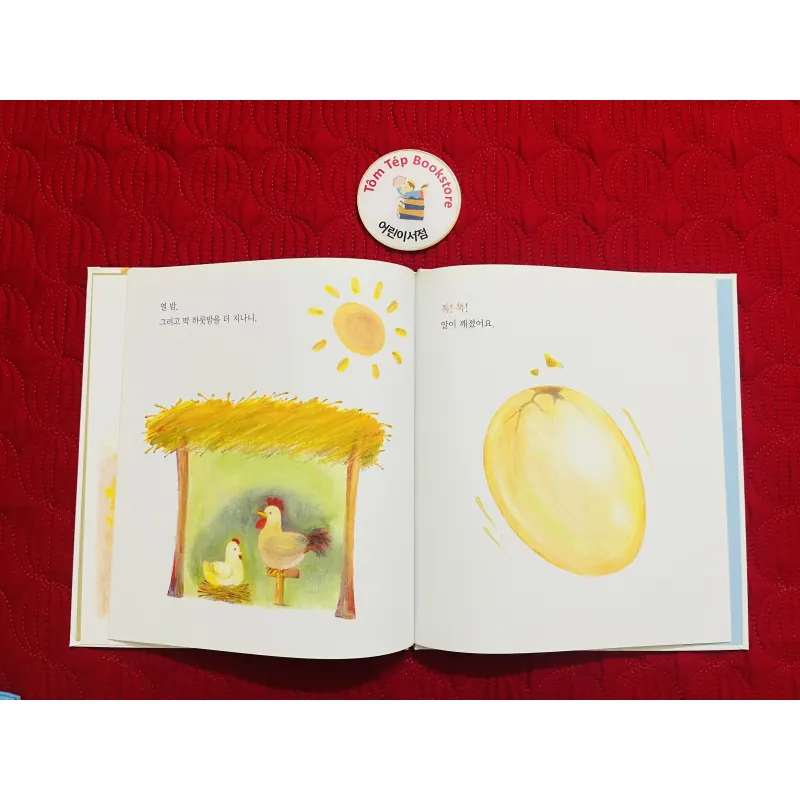 Set 5 quyển sách tranh tiếng Hàn bìa cứng 930892