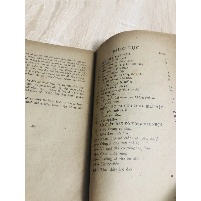 ĐẤT PHÈN Ở ĐỒNG BẰNG SÔNG CỬU LONG  956939