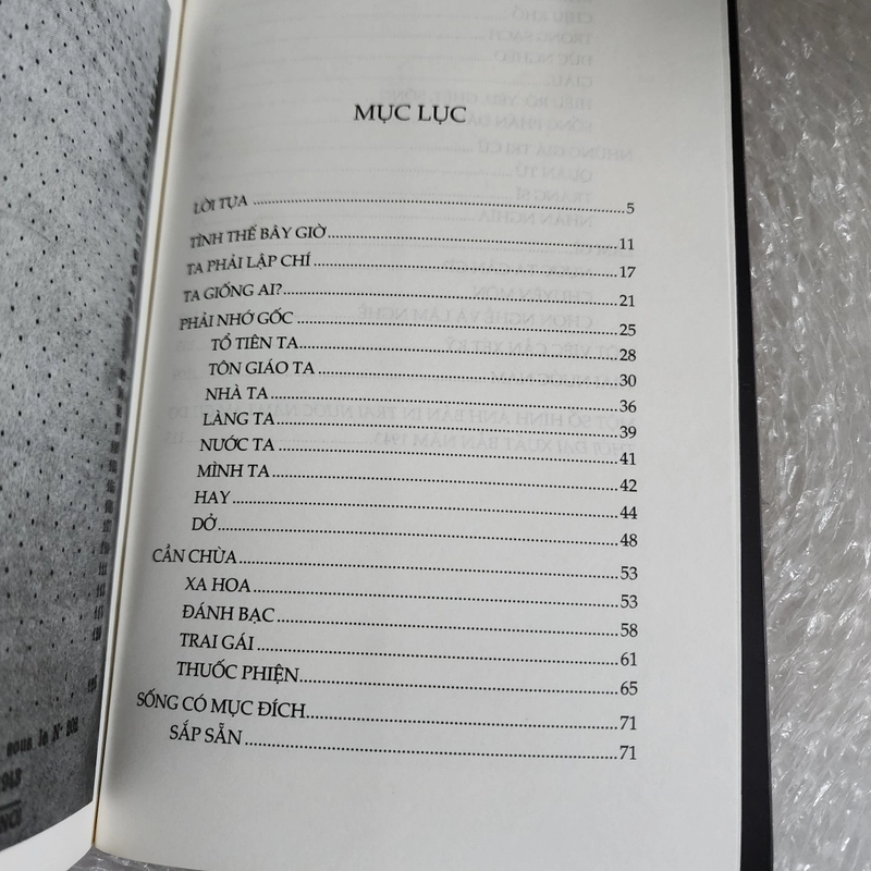 Trai nước Nam làm gì | Hoàng Đạo Thúy 463778