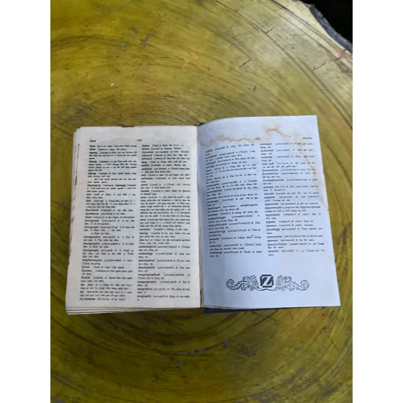 TỪ ĐIỂN ANH - VIỆT ENGLISH - VIETNAMESE DICTIONARY 731111