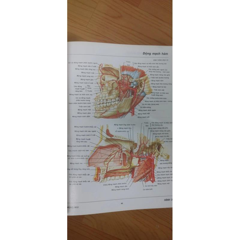 ATLAS GIẢI PHẪU NGƯỜI  541095