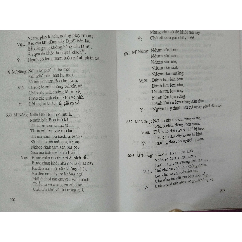 Kho tàng thành ngữ tục ngữ dân gian M'Nông L5 - 2010 - 294 trang VĂN HỌC ANTQ2012-213 737632