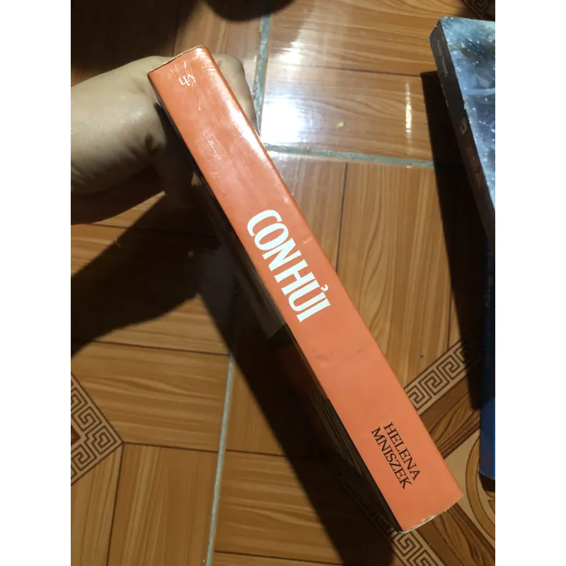 Con Hủi - Helena Mniszek - Văn học kinh điển 713927