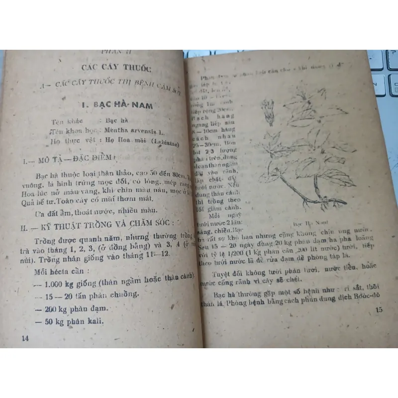 NHỮNG KINH NGHIỆM TRỒNG VÀ SỬ DỤNG MỘT SỐ CÂY THUỐC NAM 588883
