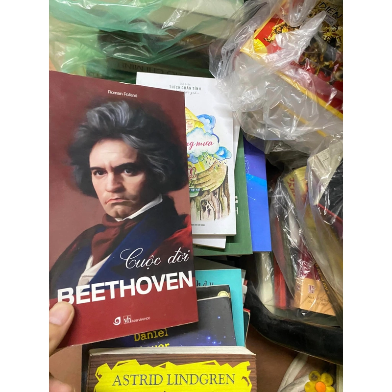 Sách Cuộc đời Beethoven 309749