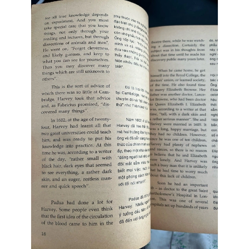 Sáu nhà khoa học lớn - Rosemary Border 790913