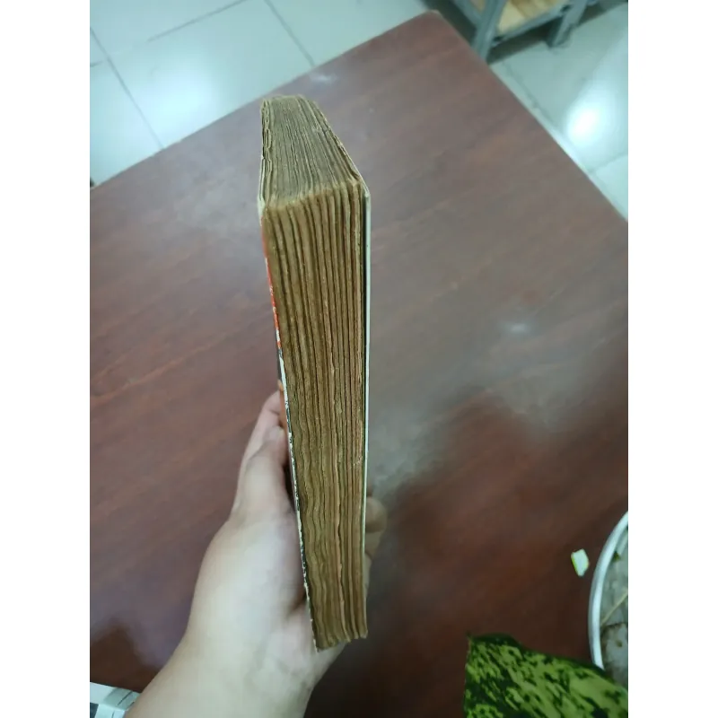 ROMMEL CON CÁO GIÀ SA MẠC 587345